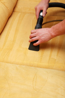 Upholstery Cleaning